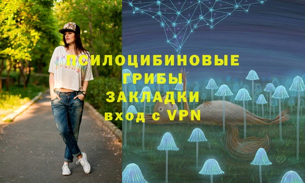 трава Бородино