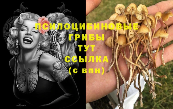 ешки Бронницы