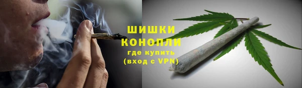 трава Бородино