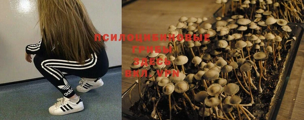 ешки Бронницы