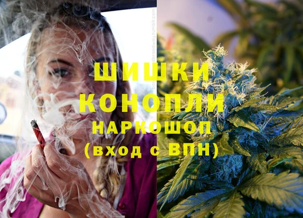 винт Богородск
